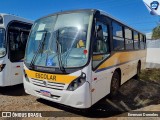 Linlex Transportes 1388 na cidade de Gravataí, Rio Grande do Sul, Brasil, por Emerson Dorneles. ID da foto: :id.