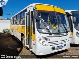 Linlex Transportes 210 na cidade de Gravataí, Rio Grande do Sul, Brasil, por Emerson Dorneles. ID da foto: :id.