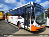 Novix Bus 73018 na cidade de Juiz de Fora, Minas Gerais, Brasil, por Vanderci Valentim. ID da foto: :id.