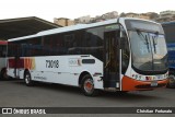 Novix Bus 73018 na cidade de Juiz de Fora, Minas Gerais, Brasil, por Christian  Fortunato. ID da foto: :id.