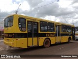 Transportes Veloso 11104 na cidade de Luziânia, Goiás, Brasil, por Matheus de Souza. ID da foto: :id.