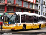 Companhia Carris Porto-Alegrense 0733 na cidade de Porto Alegre, Rio Grande do Sul, Brasil, por César Ônibus. ID da foto: :id.