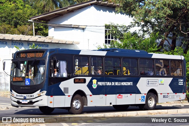 Cidade BH 11341 na cidade de Belo Horizonte, Minas Gerais, Brasil, por Wesley C. Souza. ID da foto: 12065160.