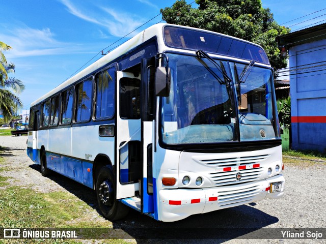 Autobuses sin identificación - Costa Rica 00 na cidade de Limón, Limón, Limón, Costa Rica, por Yliand Sojo. ID da foto: 12086176.