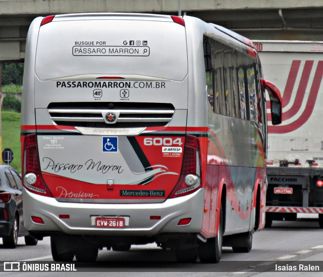 Empresa de Ônibus Pássaro Marron 6004 na cidade de Aparecida, São Paulo, Brasil, por Isaias Ralen. ID da foto: 12086581.