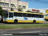 TIL Transportes Coletivos 562 na cidade de Londrina, Paraná, Brasil, por Rodrigo  Ribeiro. ID da foto: :id.
