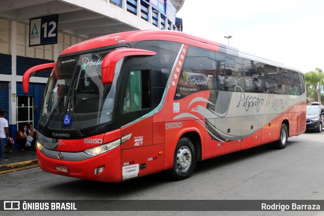Empresa de Ônibus Pássaro Marron 5650 na cidade de Aparecida, São Paulo, Brasil, por Rodrigo Barraza. ID da foto: 12088555.