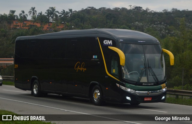 Ônibus Particulares 2019 na cidade de Santa Isabel, São Paulo, Brasil, por George Miranda. ID da foto: 12088556.