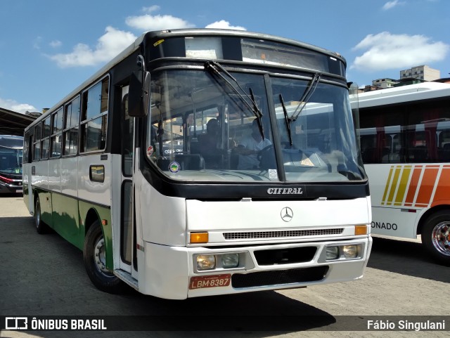 Ônibus Particulares LBM8387 na cidade de Juiz de Fora, Minas Gerais, Brasil, por Fábio Singulani. ID da foto: 12090741.