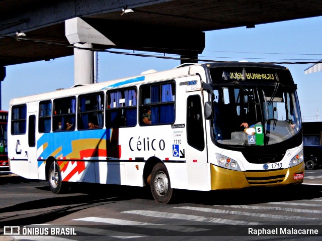 Transporte Coletivo Célico 1710 na cidade de São José do Rio Preto, São Paulo, Brasil, por Raphael Malacarne. ID da foto: 12090347.