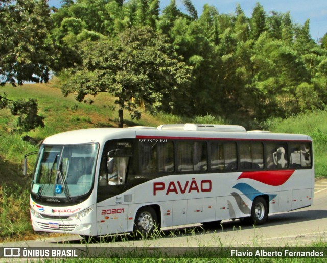 Turismo Pavão 20201 na cidade de Araçariguama, São Paulo, Brasil, por Flavio Alberto Fernandes. ID da foto: 12089617.