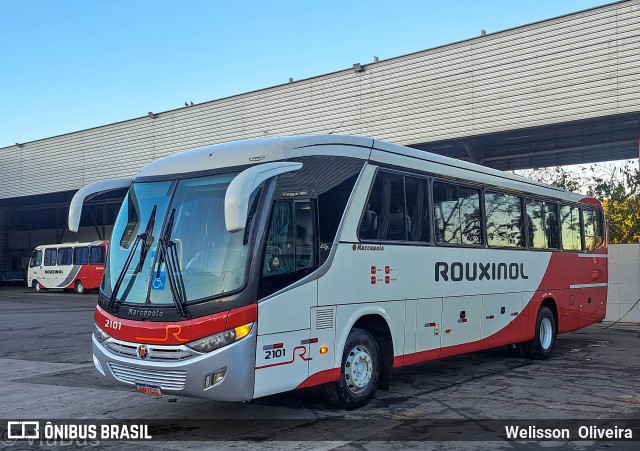 Rouxinol 2101 na cidade de Belo Horizonte, Minas Gerais, Brasil, por Welisson  Oliveira. ID da foto: 12089420.