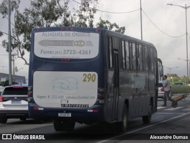Cidos Bus 290 na cidade de Caruaru, Pernambuco, Brasil, por Alexandre Dumas. ID da foto: 12090971.