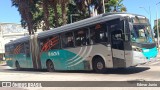 Transbus Transportes > Gávea Transportes 29260 na cidade de Belo Horizonte, Minas Gerais, Brasil, por Edmar Junio. ID da foto: :id.