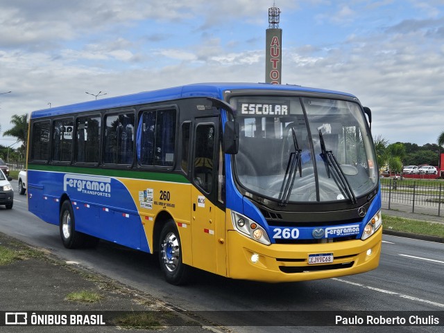 Fergramon Transportes 260 na cidade de Curitiba, Paraná, Brasil, por Paulo Roberto Chulis. ID da foto: 12092383.