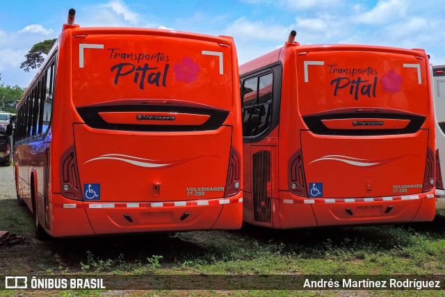 Transportes Pital 00 na cidade de La Uruca, San José, San José, Costa Rica, por Andrés Martínez Rodríguez. ID da foto: 12095562.
