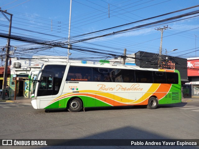 Buses Peñablanca 42 na cidade de Santa Cruz, Colchagua, Libertador General Bernardo O'Higgins, Chile, por Pablo Andres Yavar Espinoza. ID da foto: 12094513.