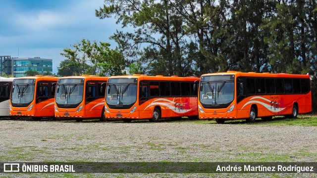 Transportes Pital 00 na cidade de La Uruca, San José, San José, Costa Rica, por Andrés Martínez Rodríguez. ID da foto: 12097942.