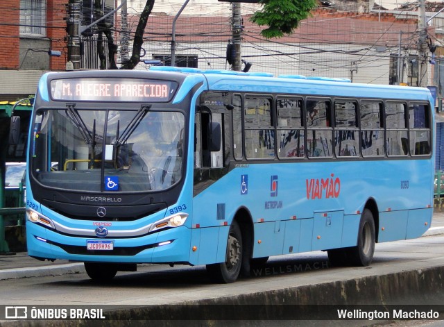 Empresa de Transporte Coletivo Viamão 8393 na cidade de Porto Alegre, Rio Grande do Sul, Brasil, por Wellington Machado. ID da foto: 12101591.