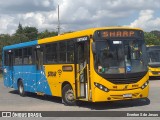 Sharp Transportes 146 na cidade de Araucária, Paraná, Brasil, por Everton S de Jesus. ID da foto: :id.