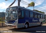Auto Ônibus Fagundes RJ 101.312 na cidade de Rio Bonito, Rio de Janeiro, Brasil, por Christiano Albernaz. ID da foto: :id.