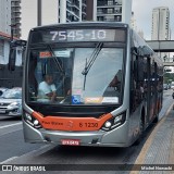TRANSPPASS - Transporte de Passageiros 8 1230 na cidade de São Paulo, São Paulo, Brasil, por Michel Nowacki. ID da foto: :id.