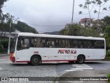 Petro Ita Transportes Coletivos de Passageiros 2005 na cidade de Petrópolis, Rio de Janeiro, Brasil, por Gustavo Esteves Saurine. ID da foto: :id.