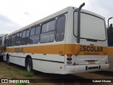 Manos Transportes e Turismo E-0202 na cidade de Uberlândia, Minas Gerais, Brasil, por Gabriel Oliveira. ID da foto: :id.