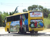 Expresso Arapiraca Viação e Turismo 130 na cidade de Pirapora, Minas Gerais, Brasil, por Andrew Campos. ID da foto: :id.
