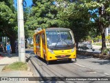Transporte Suplementar de Belo Horizonte 943 na cidade de Belo Horizonte, Minas Gerais, Brasil, por Gustavo Henrique Almeida de Assis . ID da foto: :id.