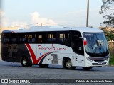 Paraibuna Transportes 6000 na cidade de Juiz de Fora, Minas Gerais, Brasil, por Fabricio do Nascimento Zulato. ID da foto: :id.
