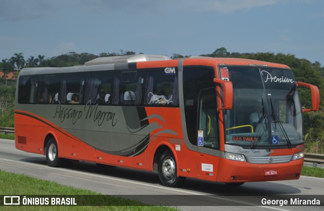 Empresa de Ônibus Pássaro Marron 5905 na cidade de Santa Isabel, São Paulo, Brasil, por George Miranda. ID da foto: 12115715.