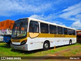Escolares 2241 na cidade de Piracanjuba, Goiás, Brasil, por Elite bus Br. ID da foto: :id.