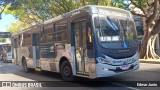 BH Leste Transportes > Nova Vista Transportes > TopBus Transportes 21120 na cidade de Belo Horizonte, Minas Gerais, Brasil, por Edmar Junio. ID da foto: :id.