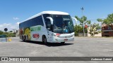 Eucatur - Empresa União Cascavel de Transportes e Turismo 4912 na cidade de Nova Serrana, Minas Gerais, Brasil, por Anderson Gabriel. ID da foto: :id.