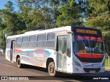Ypacarai Transporte S.A. - Línea 242 71 na cidade de Luque, Central, Paraguai, por José Paredes. ID da foto: :id.