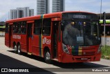 Borborema Imperial Transportes 355 na cidade de Recife, Pernambuco, Brasil, por Wallace Vitor. ID da foto: :id.
