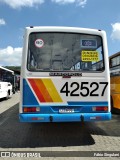 Novix Bus 42527 na cidade de Juiz de Fora, Minas Gerais, Brasil, por Fábio Singulani. ID da foto: :id.