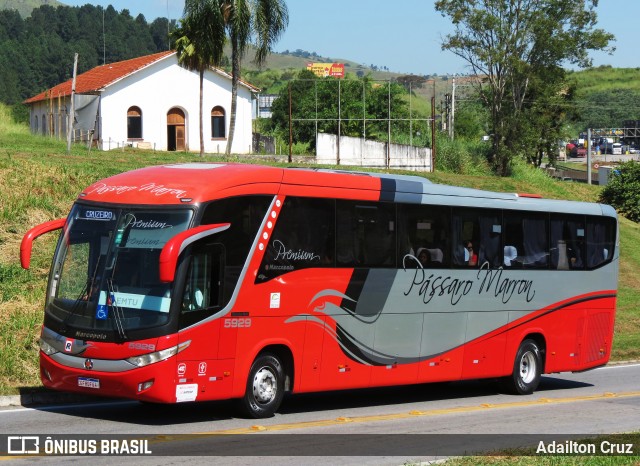 Empresa de Ônibus Pássaro Marron 5929 na cidade de Aparecida, São Paulo, Brasil, por Adailton Cruz. ID da foto: 12072620.