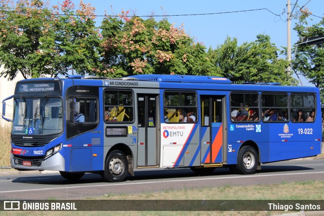 Transportes Capellini 19.022 na cidade de Campinas, São Paulo, Brasil, por Thiago Santos. ID da foto: 12071170.