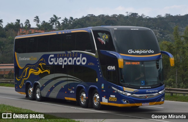 Expresso Guepardo 2020 na cidade de Santa Isabel, São Paulo, Brasil, por George Miranda. ID da foto: 12072276.