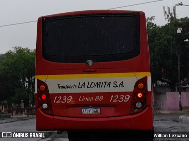 Transportes La Lomita 1239 na cidade de Asunción, Paraguai, por Willian Lezcano. ID da foto: 12073243.