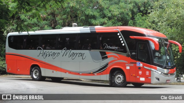 Empresa de Ônibus Pássaro Marron 6002 na cidade de São Paulo, São Paulo, Brasil, por Cle Giraldi. ID da foto: 12074346.