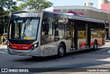 Express Transportes Urbanos Ltda 4 8451 na cidade de São Paulo, São Paulo, Brasil, por Hipólito Rodrigues. ID da foto: :id.
