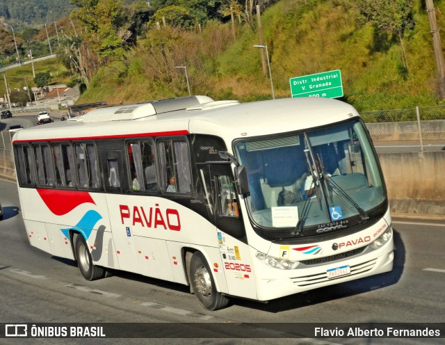 Turismo Pavão 20205 na cidade de Mairinque, São Paulo, Brasil, por Flavio Alberto Fernandes. ID da foto: 12077472.