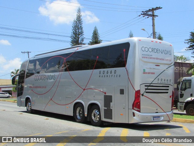 Companhia Coordenadas de Transportes 50660 na cidade de Belo Horizonte, Minas Gerais, Brasil, por Douglas Célio Brandao. ID da foto: 12076973.
