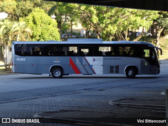 Empresa de Ônibus Pássaro Marron 91.503 na cidade de Taubaté, São Paulo, Brasil, por Vini Bittencourt. ID da foto: 12079131.