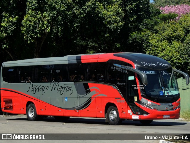 Empresa de Ônibus Pássaro Marron 5528 na cidade de São Paulo, São Paulo, Brasil, por Bruno - ViajanteFLA. ID da foto: 12080696.