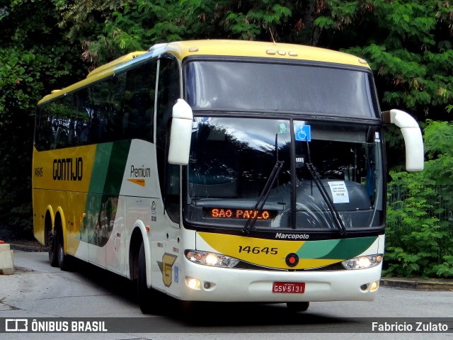 Empresa Gontijo de Transportes 14645 na cidade de São Paulo, São Paulo, Brasil, por Fabricio Zulato. ID da foto: 12080997.