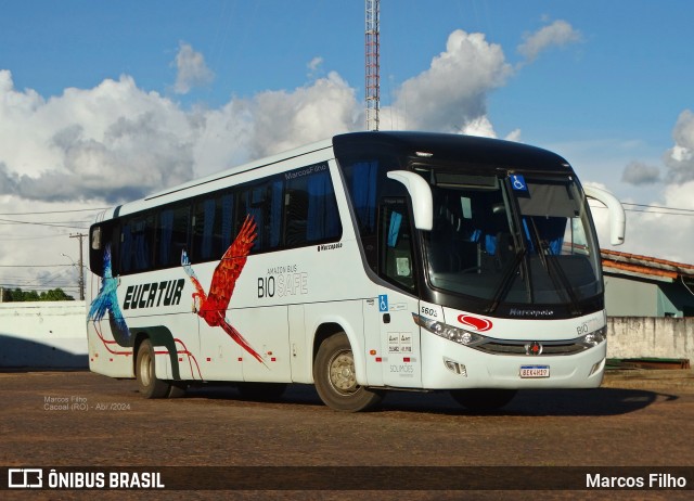 Eucatur - Empresa União Cascavel de Transportes e Turismo 5603 na cidade de Cacoal, Rondônia, Brasil, por Marcos Filho. ID da foto: 12083186.